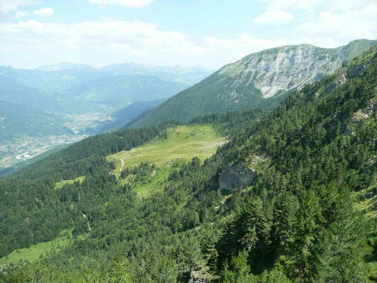 Vuceljic Rooms Andrijevica Dış mekan fotoğraf